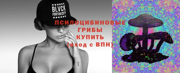 ГАЛЛЮЦИНОГЕННЫЕ ГРИБЫ Надым